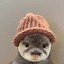 otterwifhat