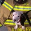 Fire Department Mascot