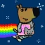 NYAN CAT